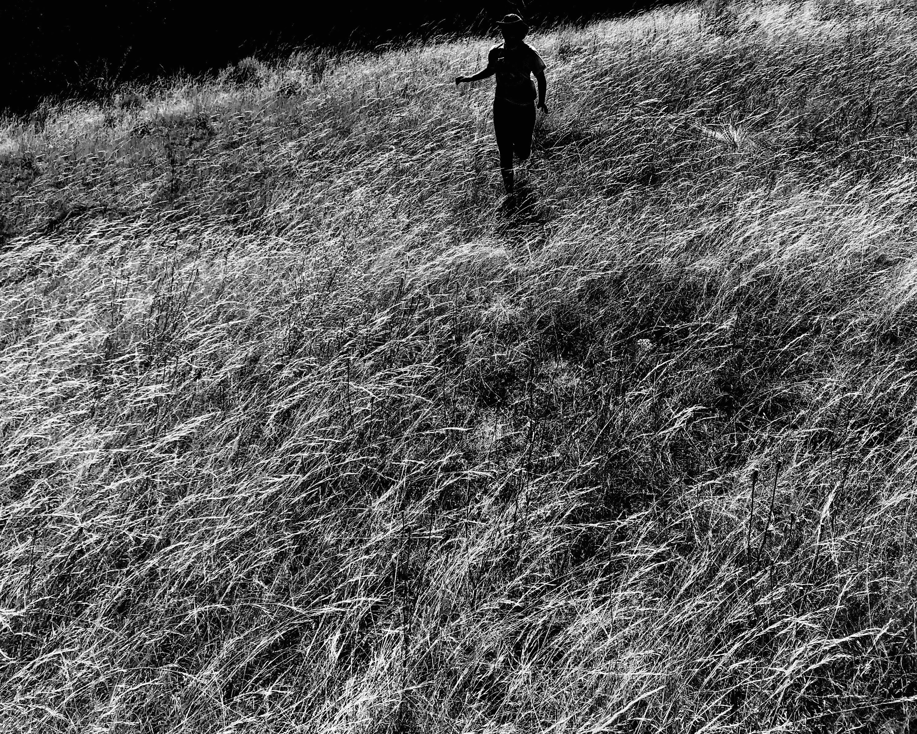 bodies of land, bodies of water