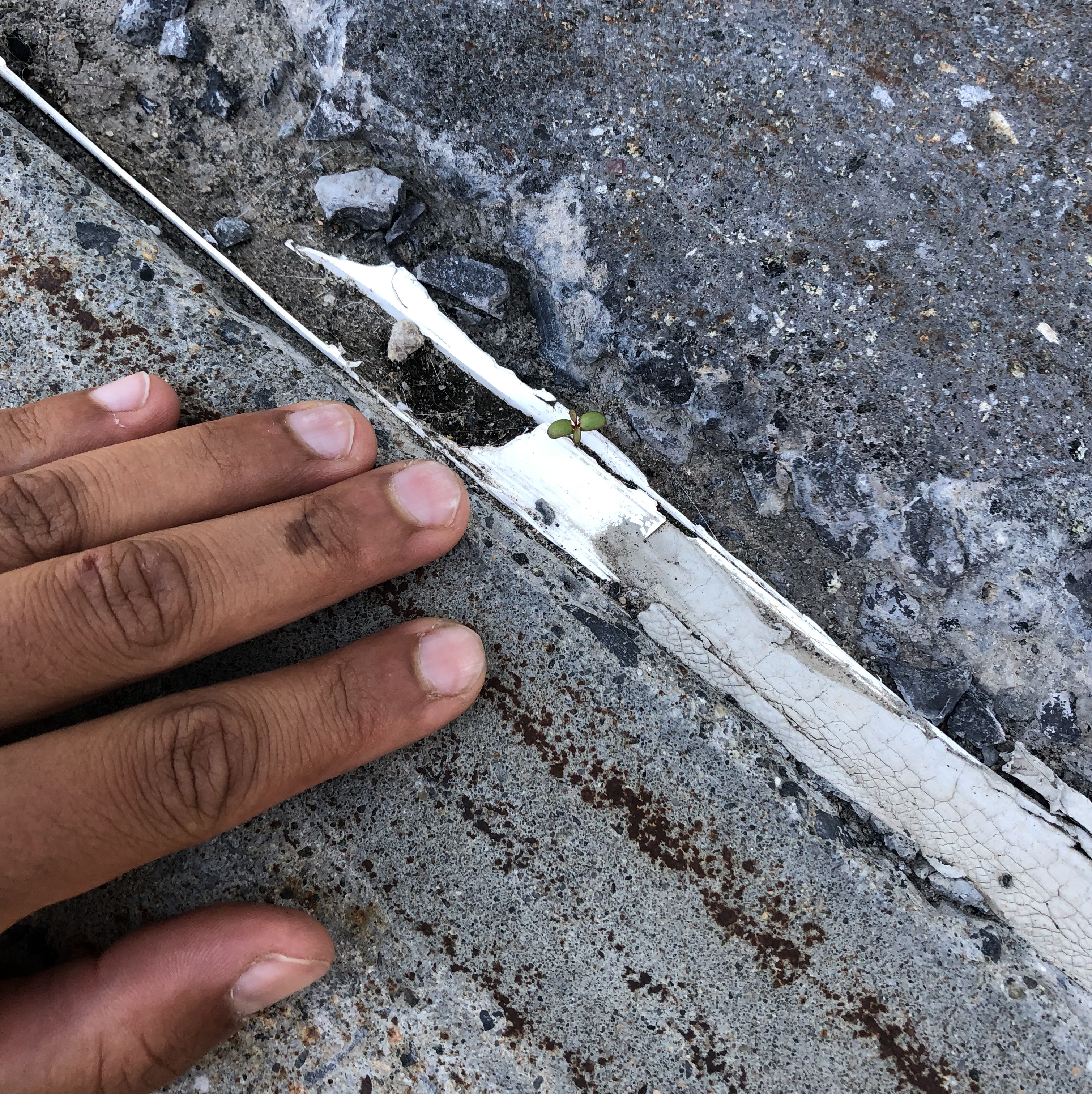 i'll remember you not as you were, but as what you'll become