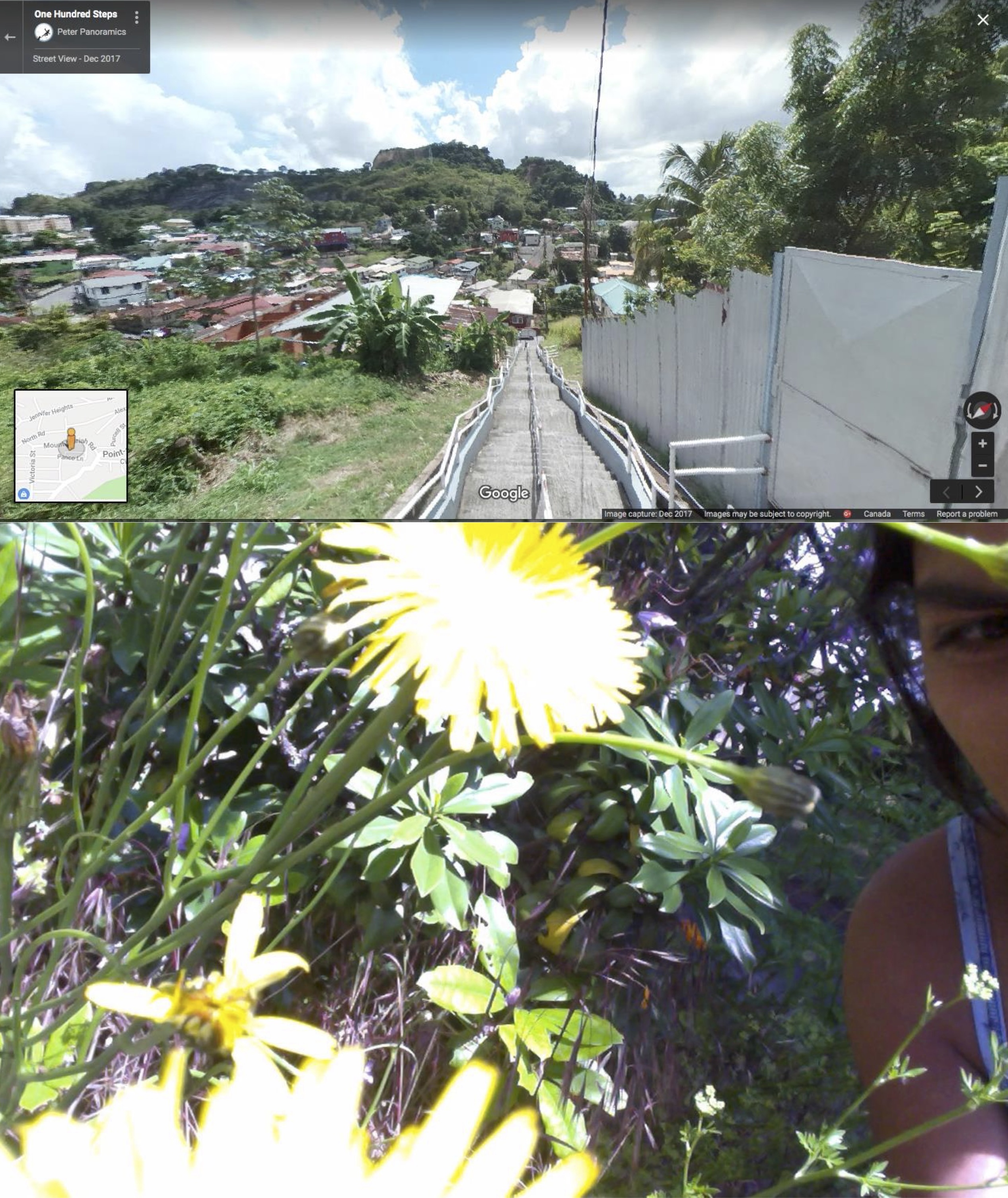 to see the earth before the end of our world