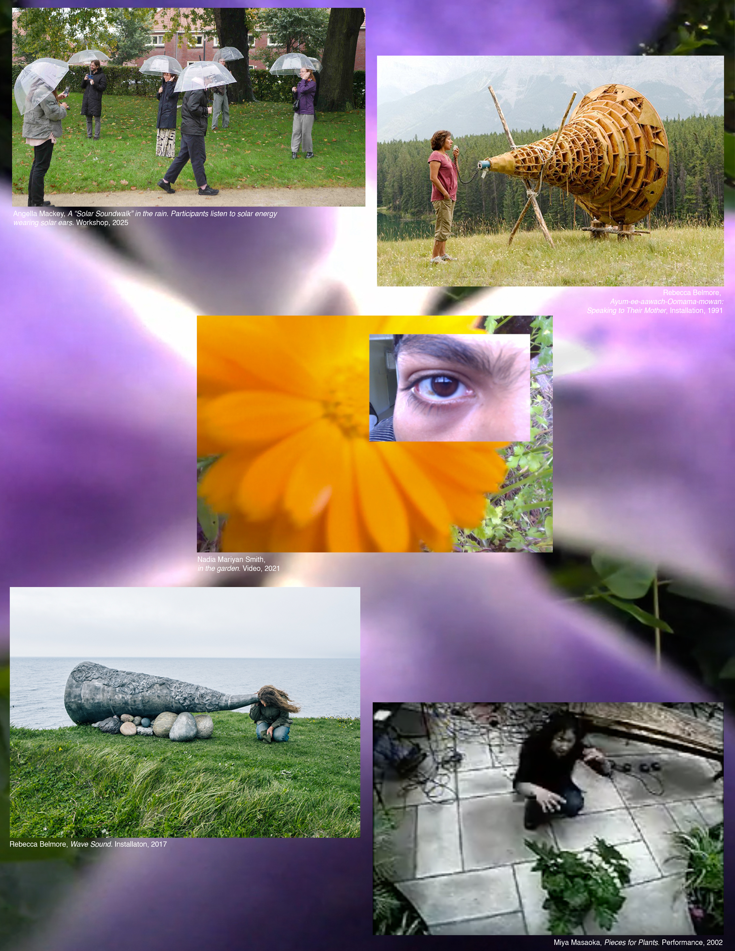 to sense the earth before the end of our world